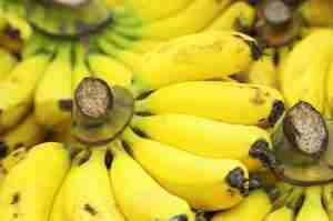 Bananas