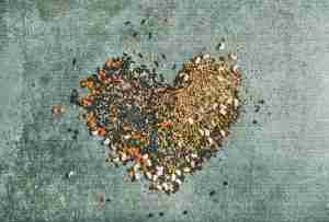 Various raw grains, beans and cereals in shape of heart