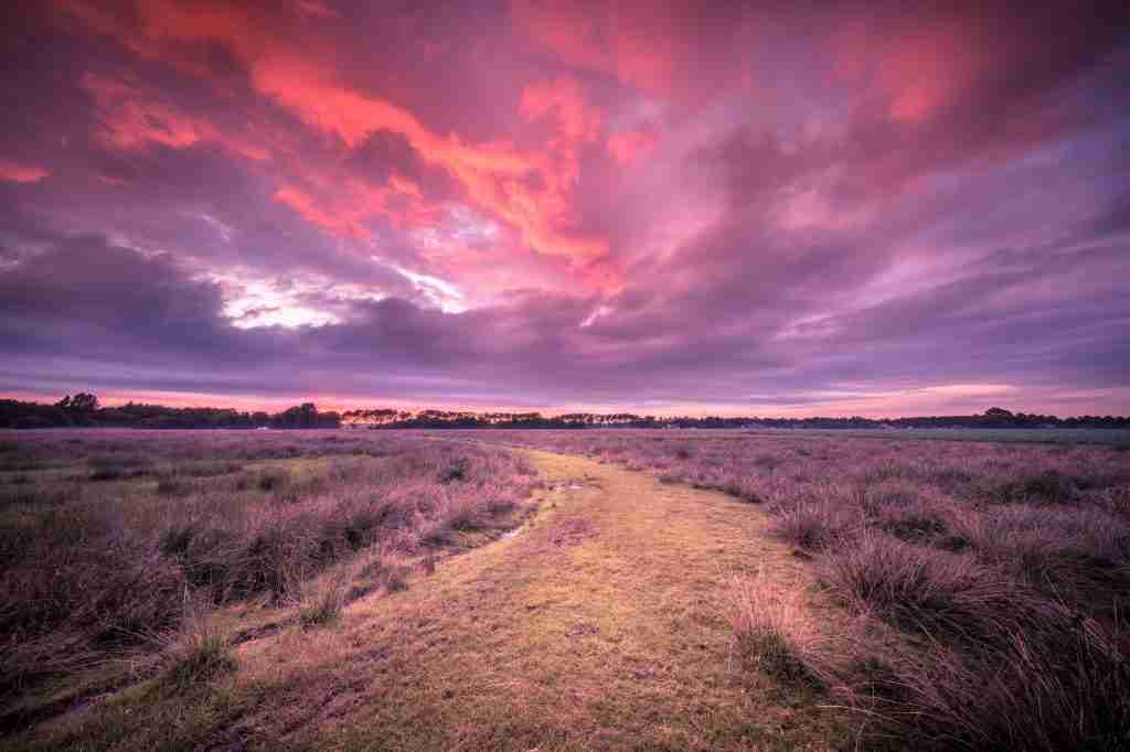 Spiritual voyage concept path through Wild natural landscape und